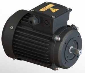 AQUA GROUP 3 Phase, Energy Efficient, Face Mounted motors