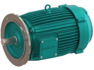 AQUA GROUP 3 Phase, Flange Mounted Motors